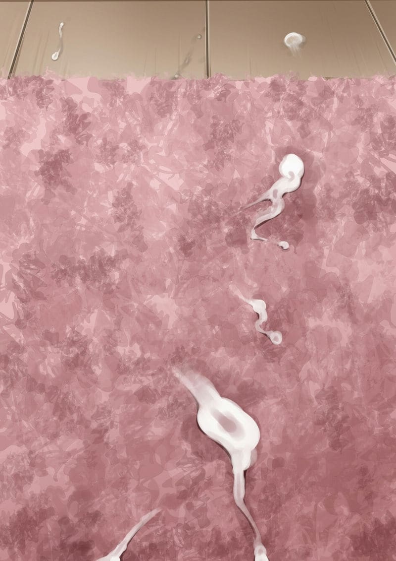 ทำไมควยลูกชายถึงแข็ง?